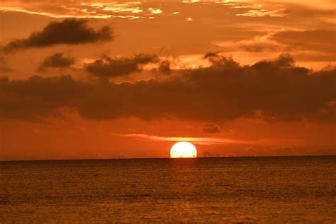 sunset 뜻: 시간의 경계에서 바라본 순간의 아름다움